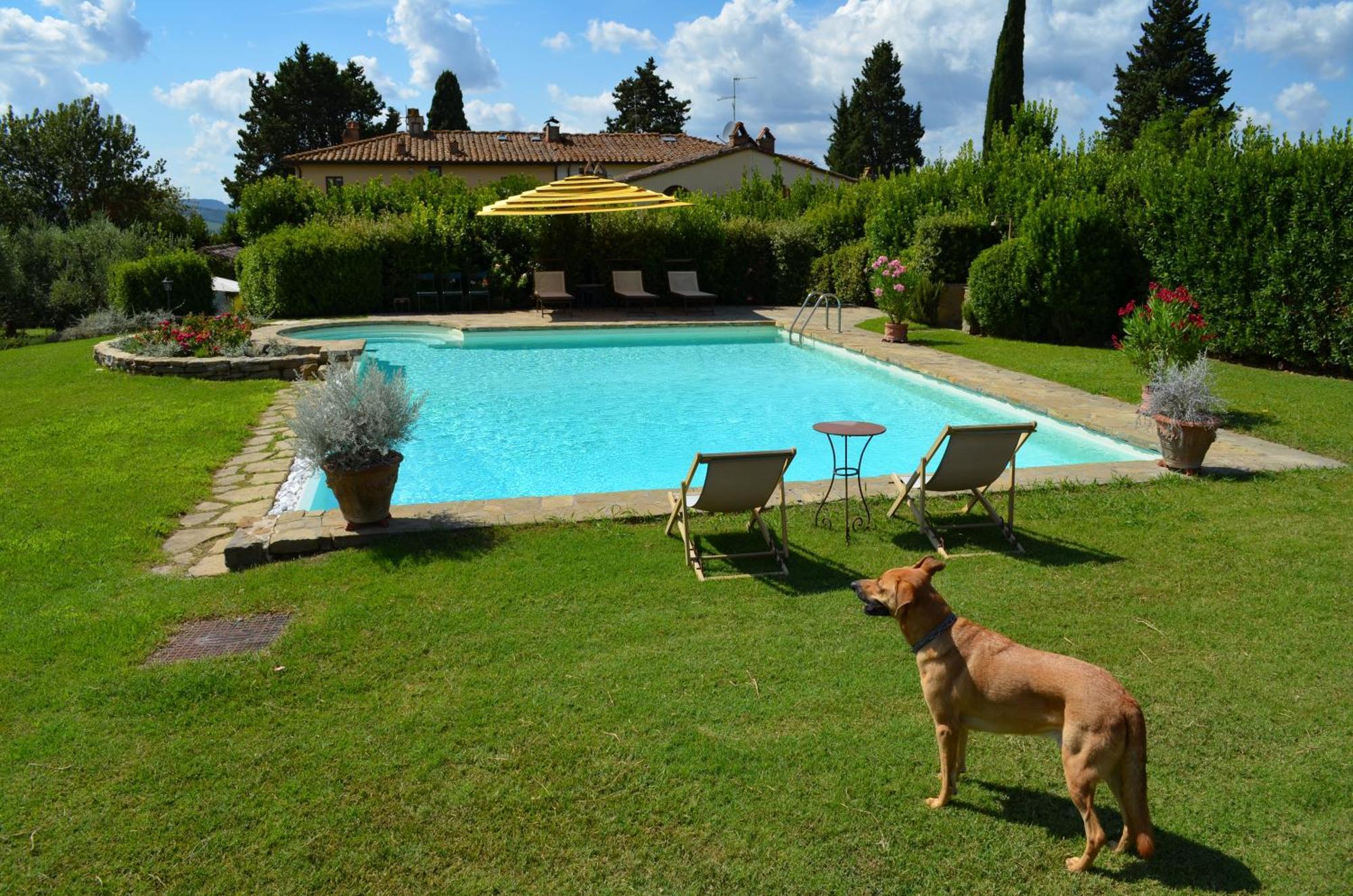 Dante Country House - Casa Con Piscina Privata E Jacuzzi Tra Firenze E Chianti Скандиччи Экстерьер фото